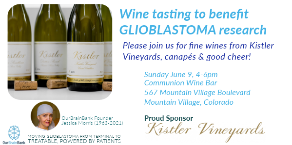 Fundraising event in Telluride, June 9 2024